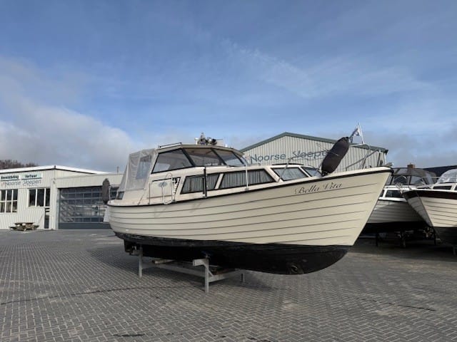 Polar 29